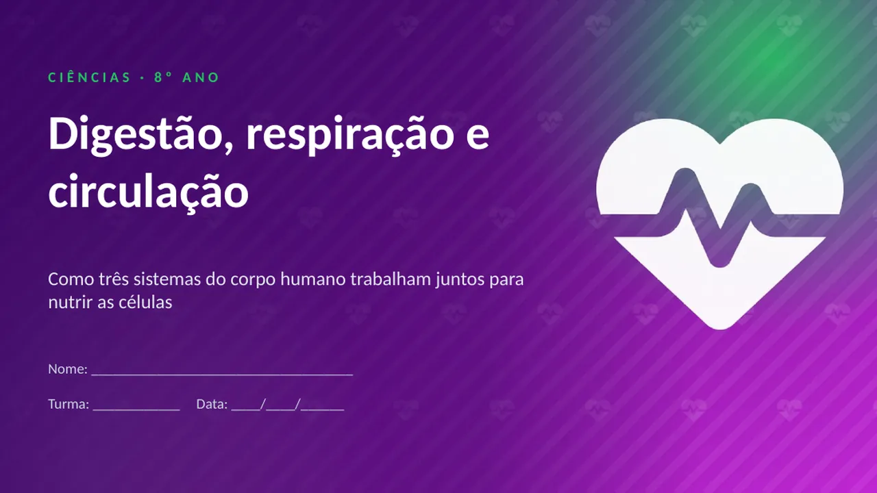 Capa da apresentação Digestão, respiração e circulação